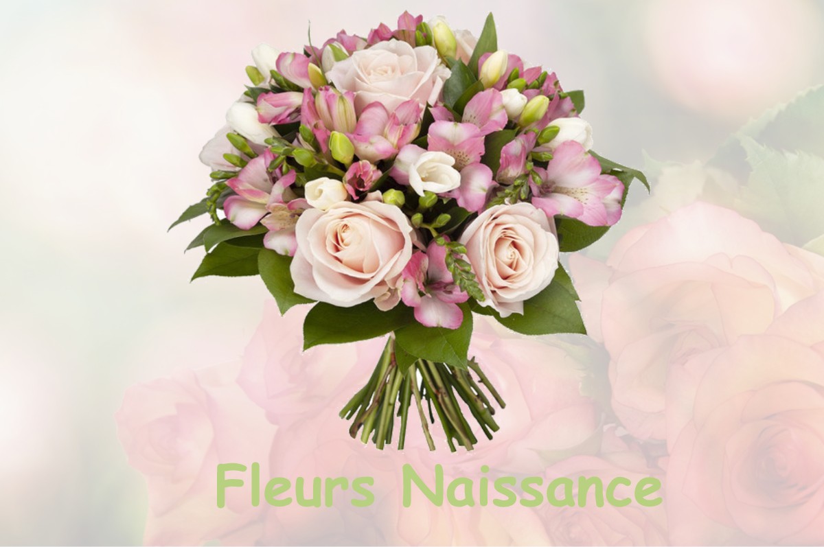 fleurs naissance CHAMP-SUR-DRAC