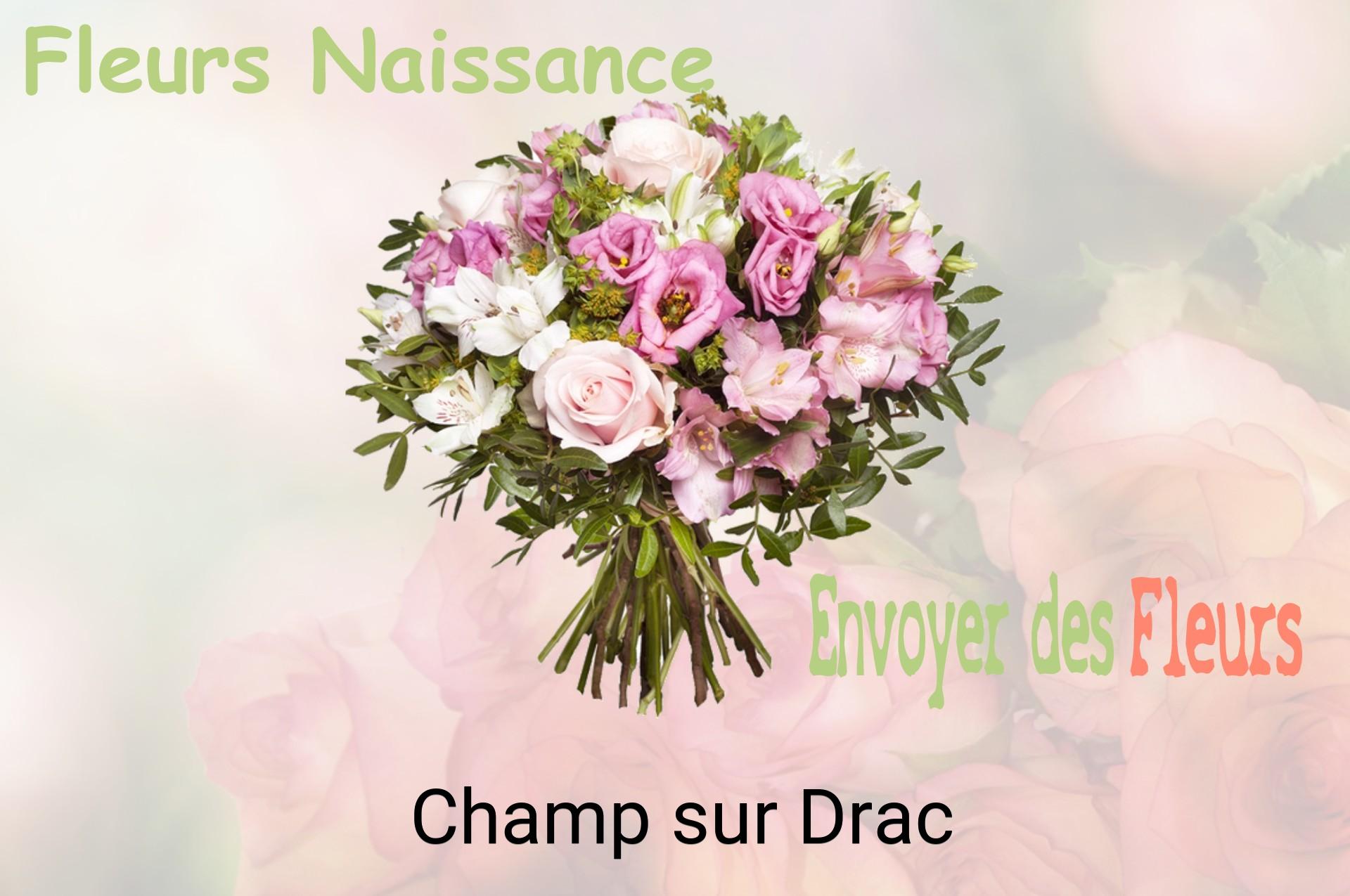 Bouquet de fleurs de naissance livré à Champ-sur-Drac