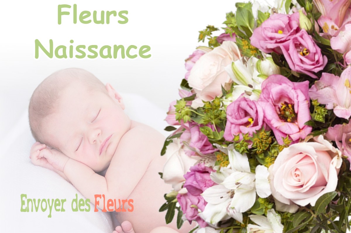 lIVRAISON FLEURS NAISSANCE à CHAMP-SUR-DRAC